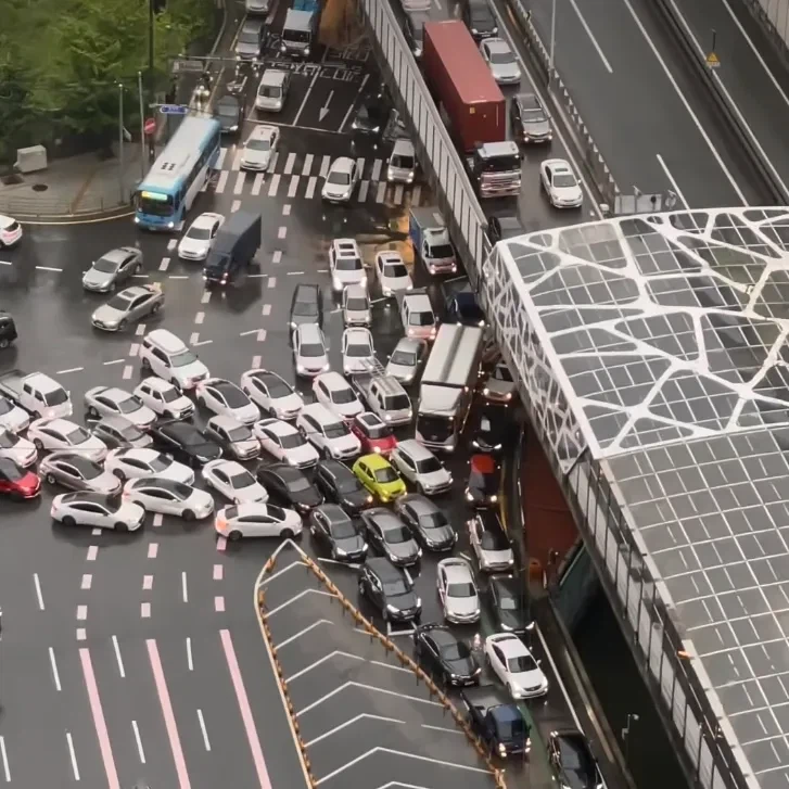 동서고가는 타는거 아니다_1.webp