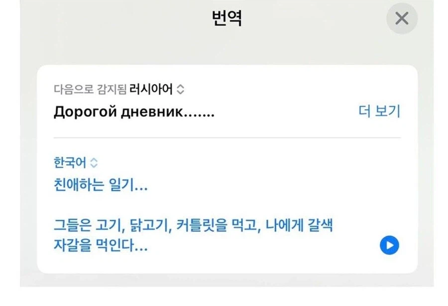 러시아는 왜 고양이짤마저 러시아문학같냐.jpg_2.webp