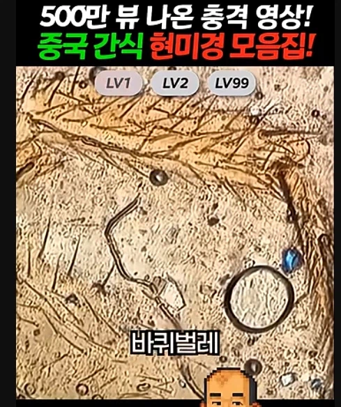 초콜릿에 바퀴벌레 조각?_2.webp