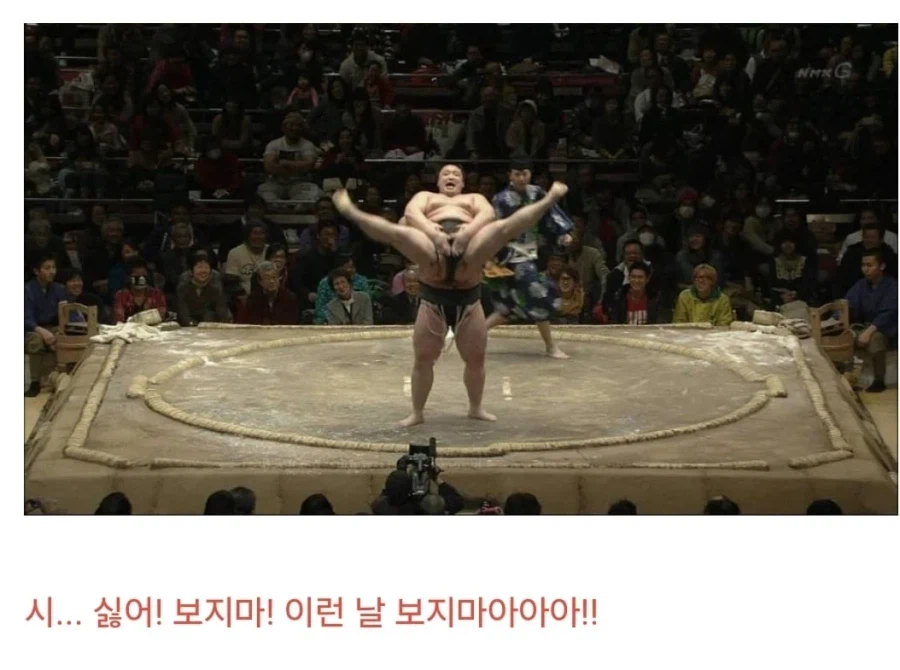 임신 스모프레스!!!!_2.webp