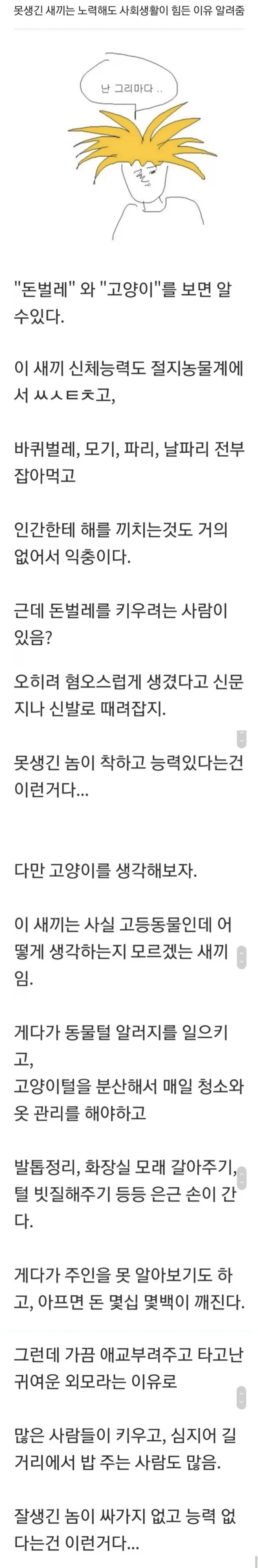 돈벌레와 고양이_1.webp