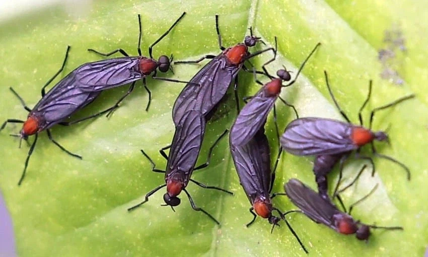 곧 서울에 찾아올 빅 이벤트_1.webp