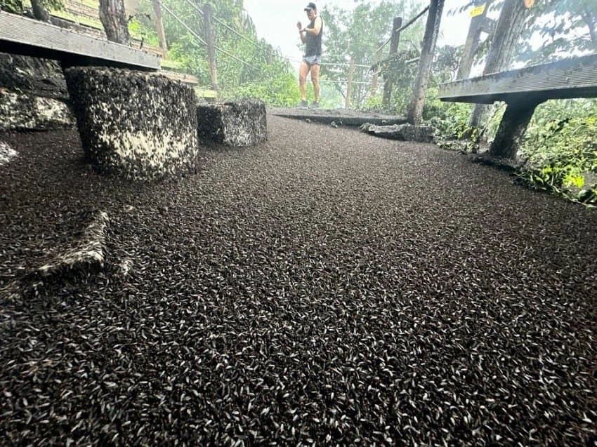 곧 서울에 찾아올 빅 이벤트_3.webp