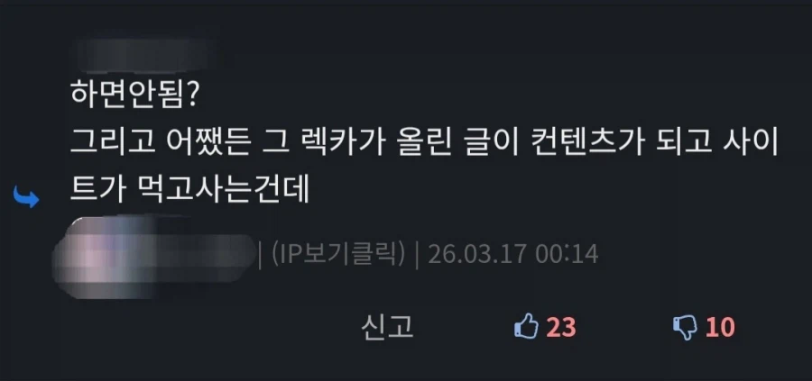 댓글에 이 짤을 달면 해외정떡렉카가 도망친다는 이야기가 있다_1.webp