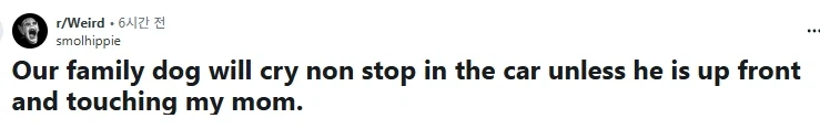 자동차 앞좌석에 앉아 엄마 만지지 않으면 계속해서 운다는 개.JPG_1.webp