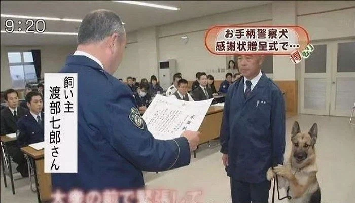표창받으러 가서 사육사 손 꼭 잡고 있는 일본 경찰견.JPG_1.webp