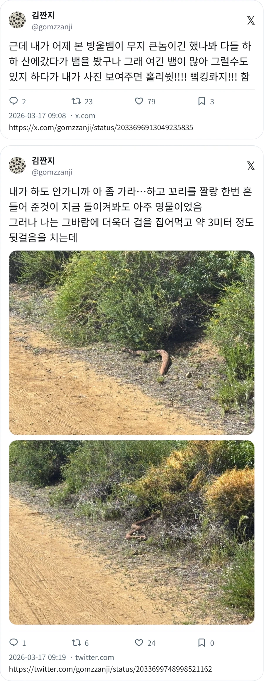 산에서 뱀을 봤어 >그럴수도 있지_1.webp