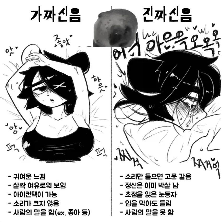 가짜신음 vs 진짜신음_1.webp
