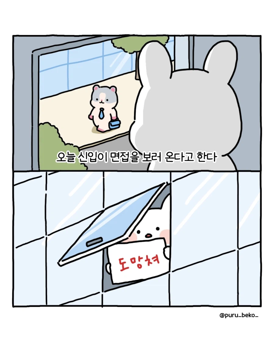 면접을 보러 온 신입.jpg_1.webp