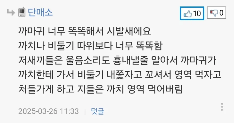 까마귀는 아주 시발새입니다.jpg_2.webp