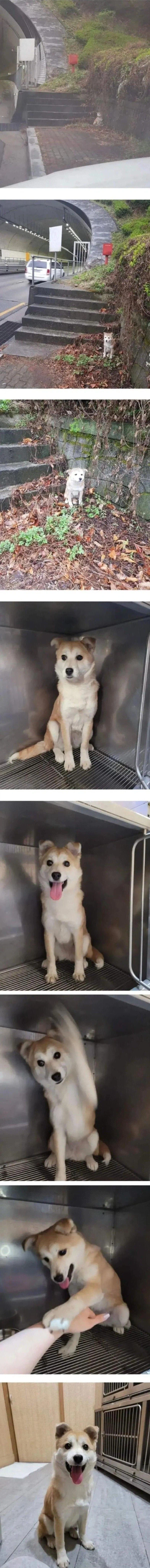 고속도로에서 댕줍한 사람 jpg._1.webp