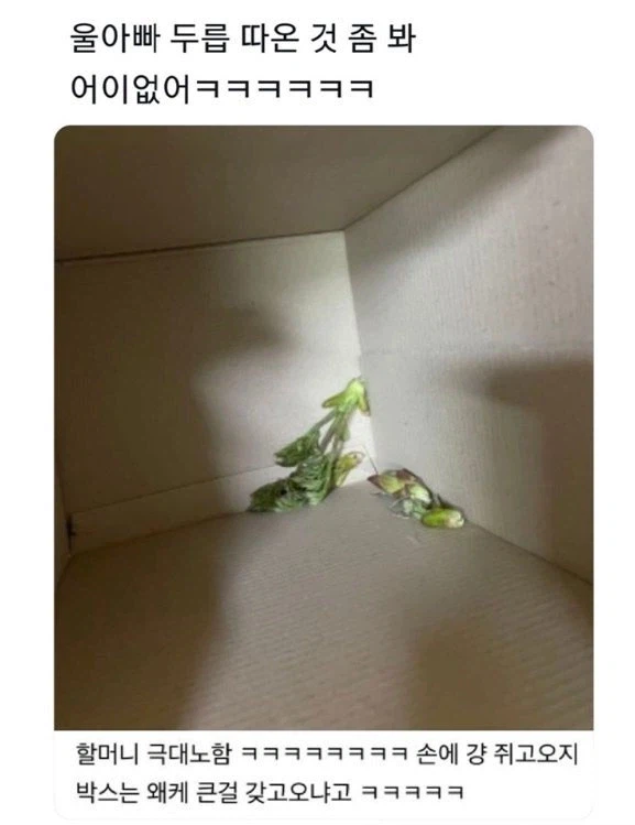 아빠의 두릅 jpg._1.webp