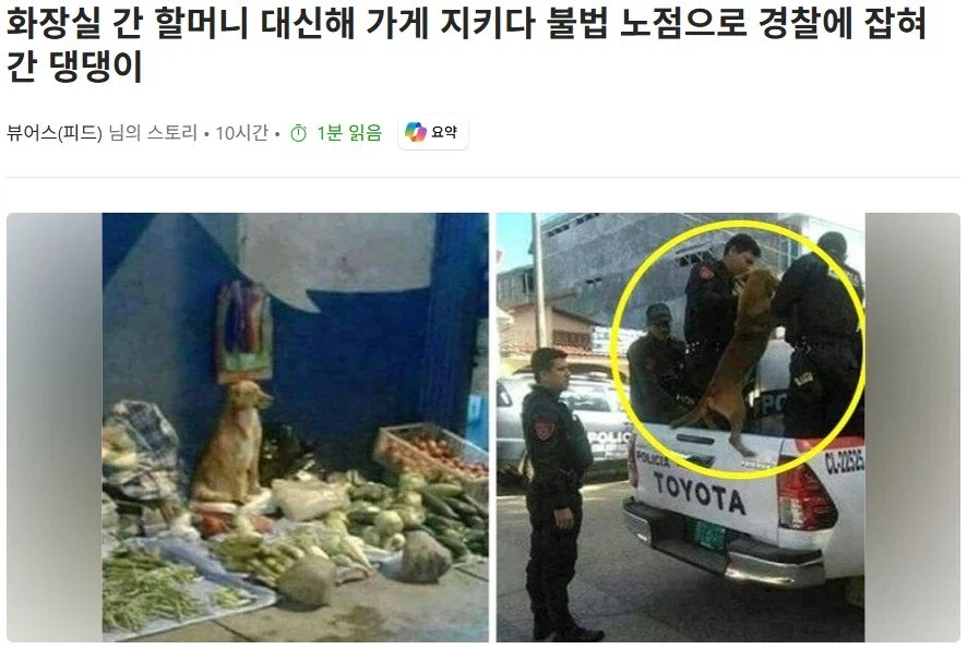 무자비한 불법노점 단속 현장.jpg_1.webp