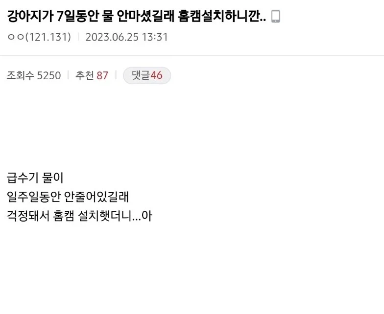 강아지가 7일동안 물 안마셨길래_1.webp