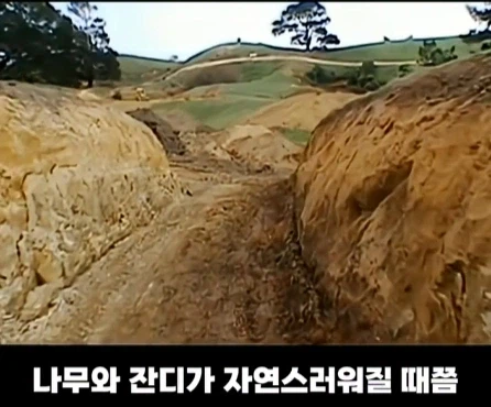 8천톤의 흙을 쏟아부어서 1년 동안 만든 영화 세트장.jpg_19.webp