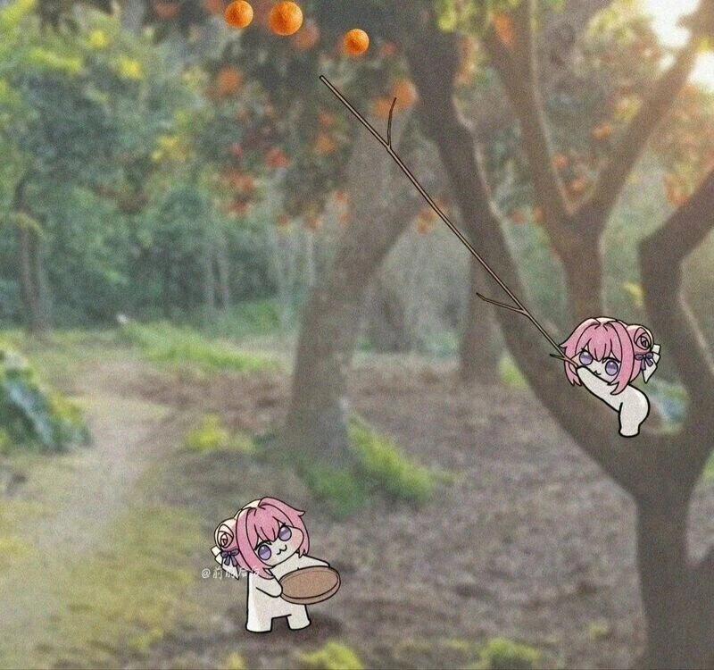 오렌지 먹고 싶은 도로롱.jpg_1.webp