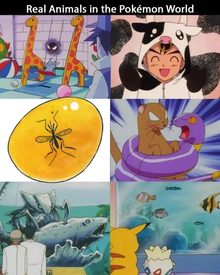 포켓몬 세계관에서 멸종한 동물들_1.webp