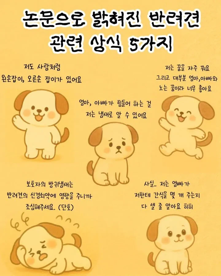 논문으로 밝혀진 반려견 상식_1.webp