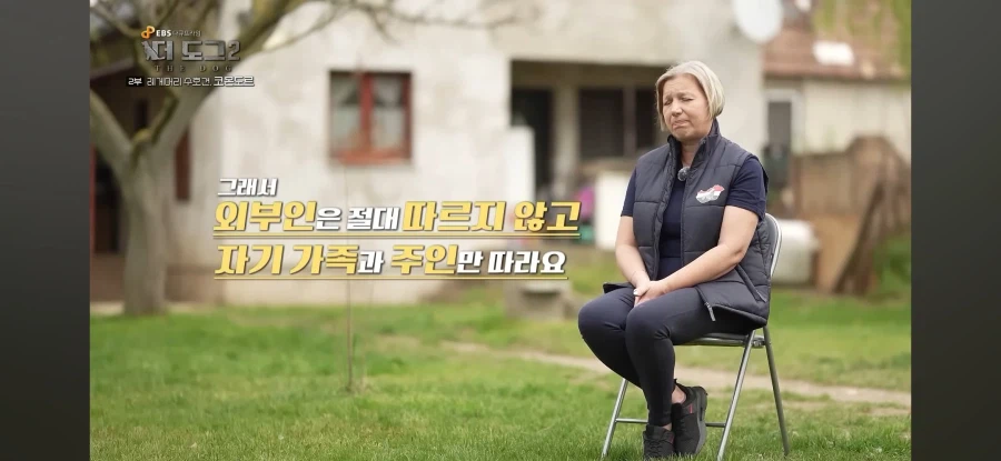 늑대도 잡는다는 최강의 개_6.webp