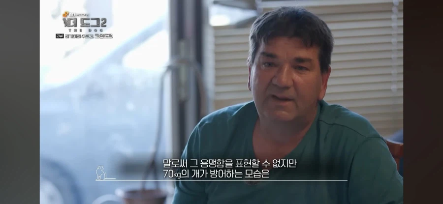 늑대도 잡는다는 최강의 개_13.webp