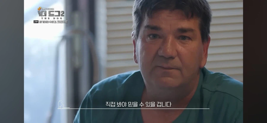 늑대도 잡는다는 최강의 개_14.webp