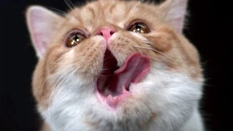 영화 글 쓰면 보람찰 때.movie_7.webp