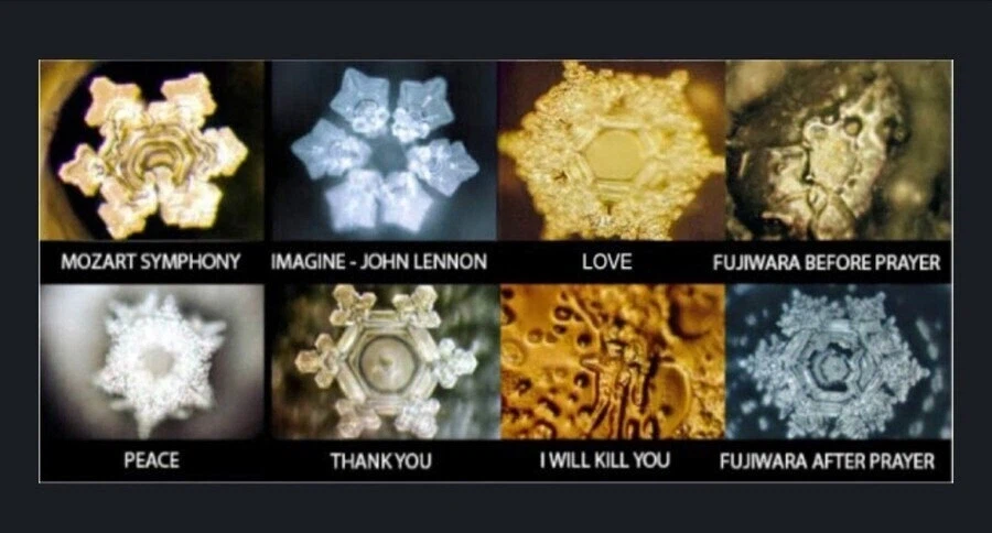 쇼닥터들이 20,30대 들에게 준 고통.jpg_1.webp