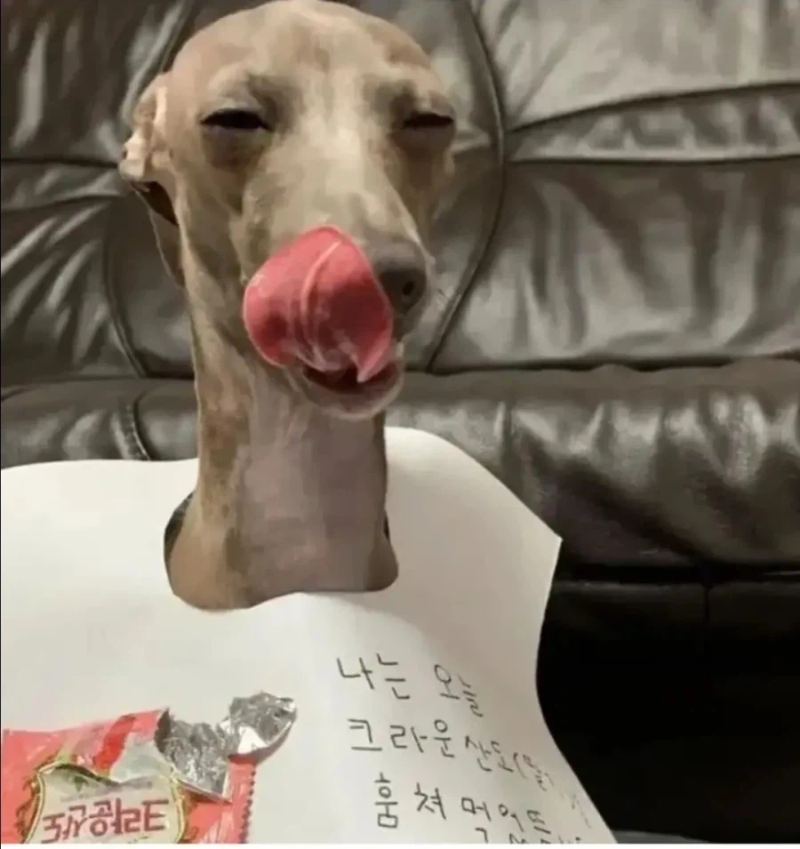 먹으면 안될껄 먹고 만족감에 빠진 스눕독_1.webp