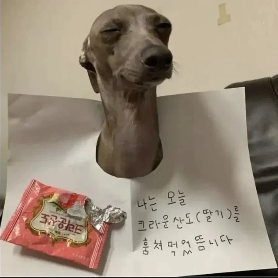 먹으면 안될껄 먹고 만족감에 빠진 스눕독_2.webp