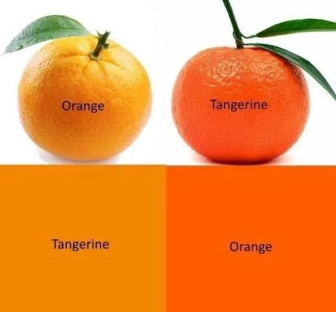 가장 ㅂㅅ같은 색깔 이름_1.webp