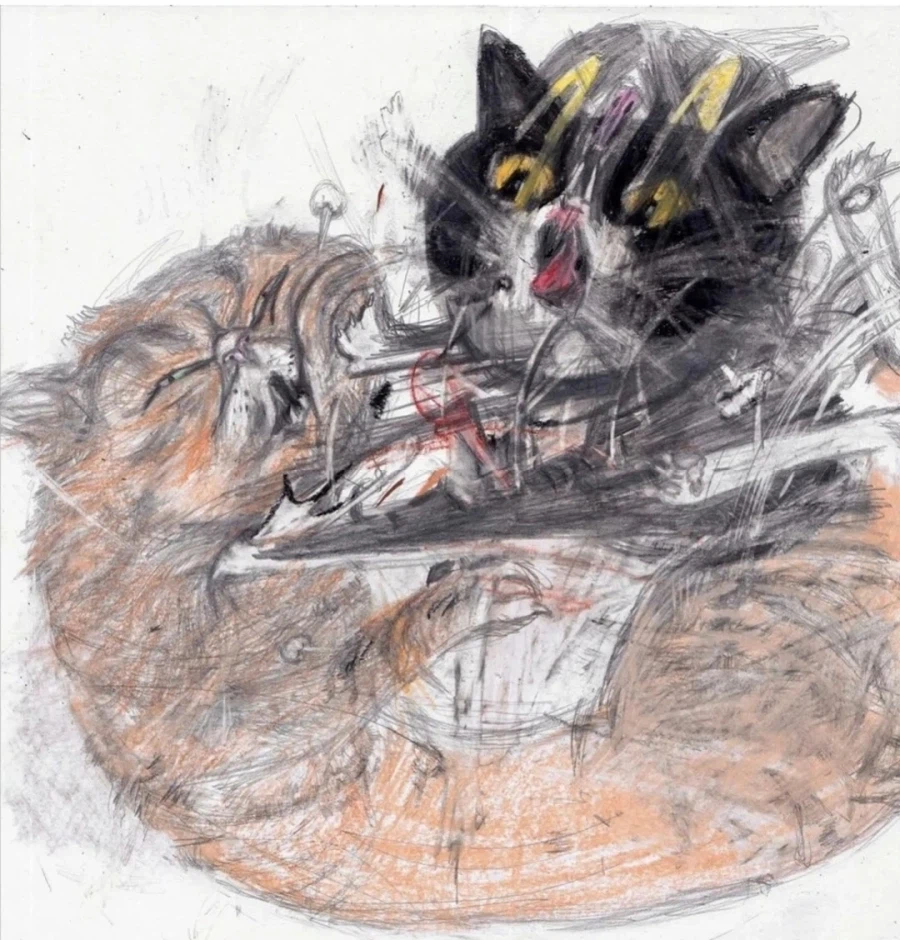 울집냥이들 싸움 그려봄_1.webp