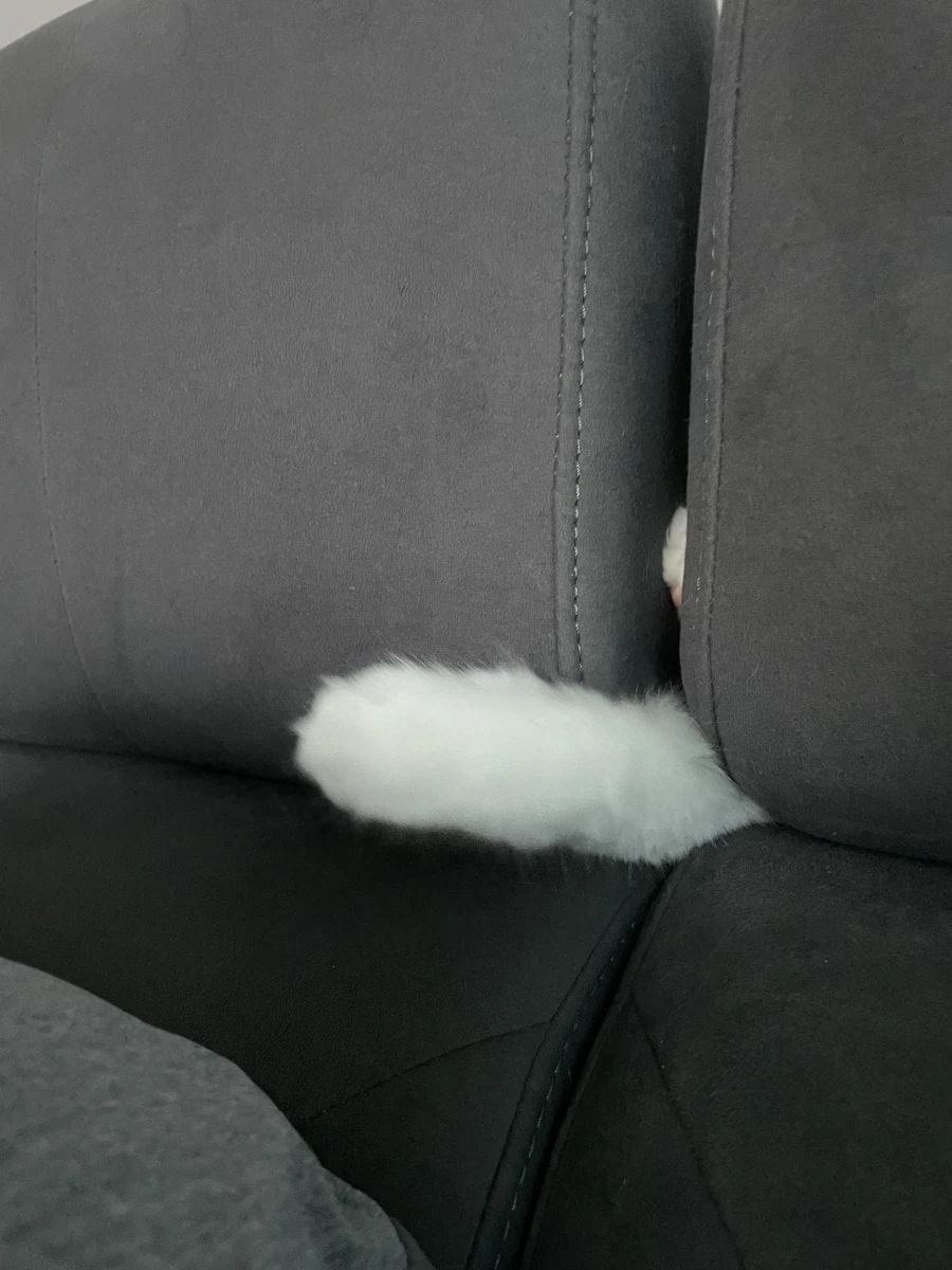 야심한 밤 좋은걸 보여주지_1.webp