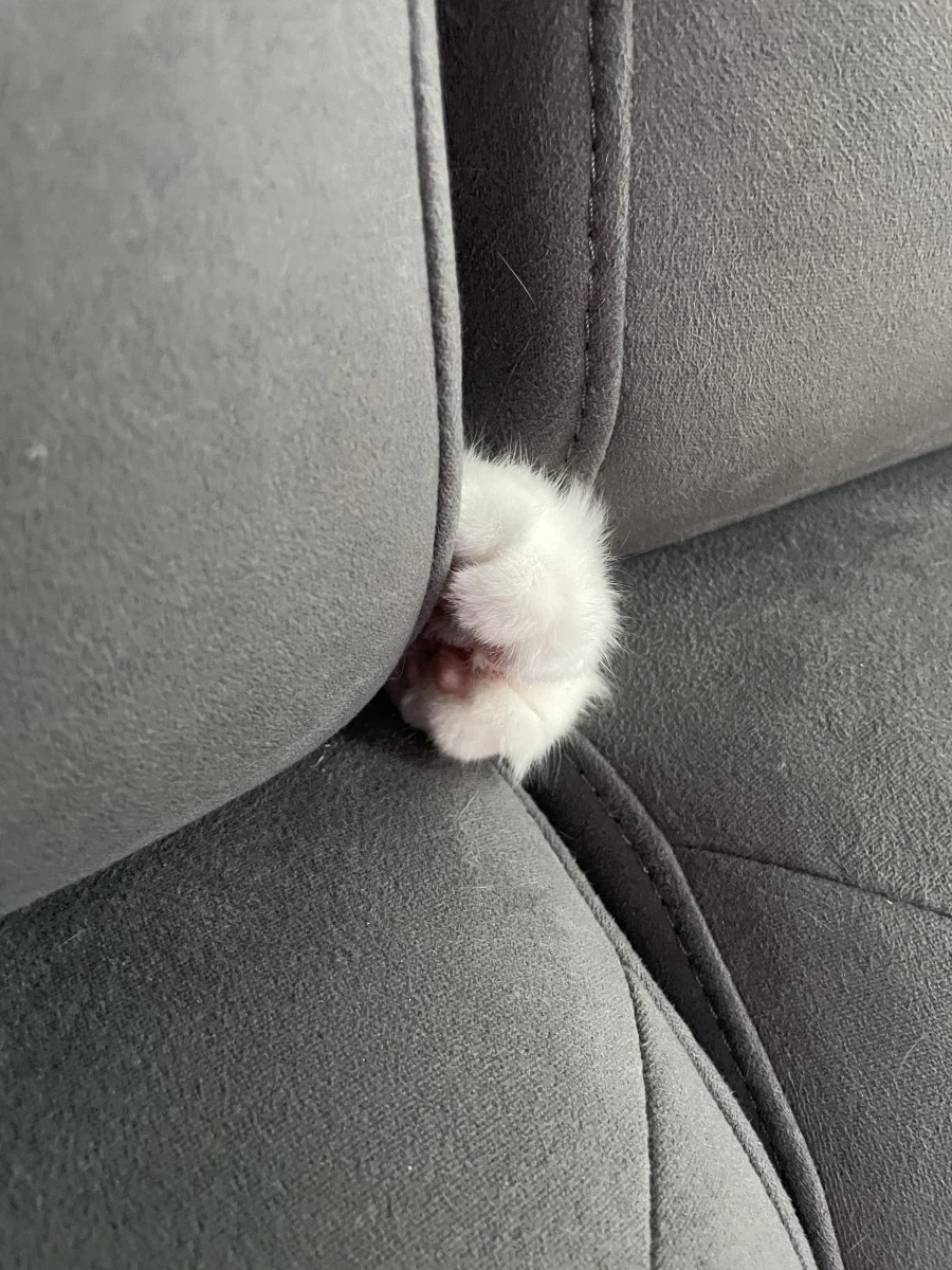 야심한 밤 좋은걸 보여주지_2.webp