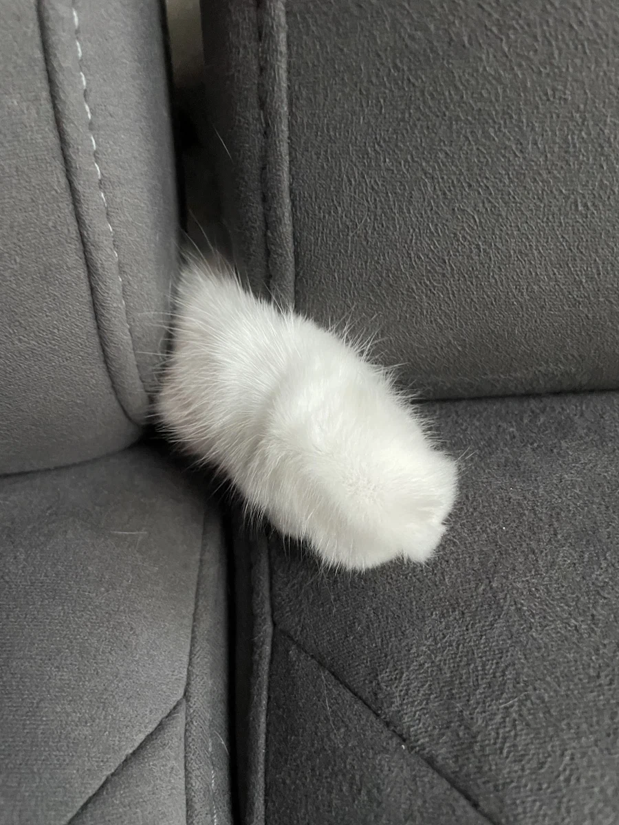 야심한 밤 좋은걸 보여주지_3.webp