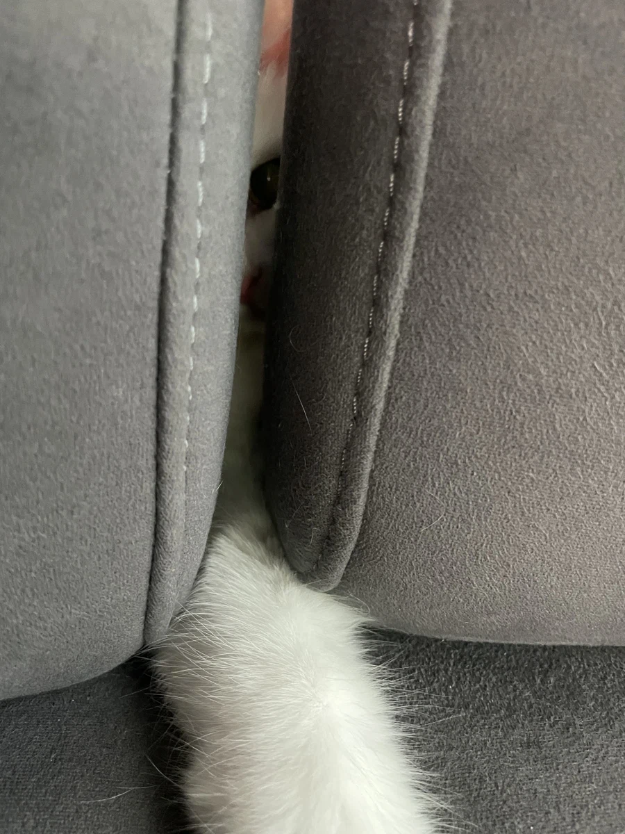 야심한 밤 좋은걸 보여주지_4.webp