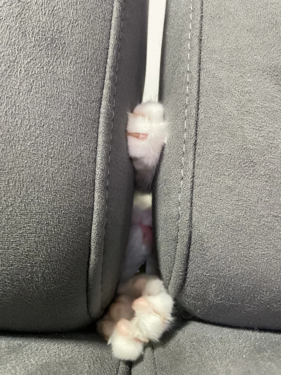 야심한 밤 좋은걸 보여주지_6.webp