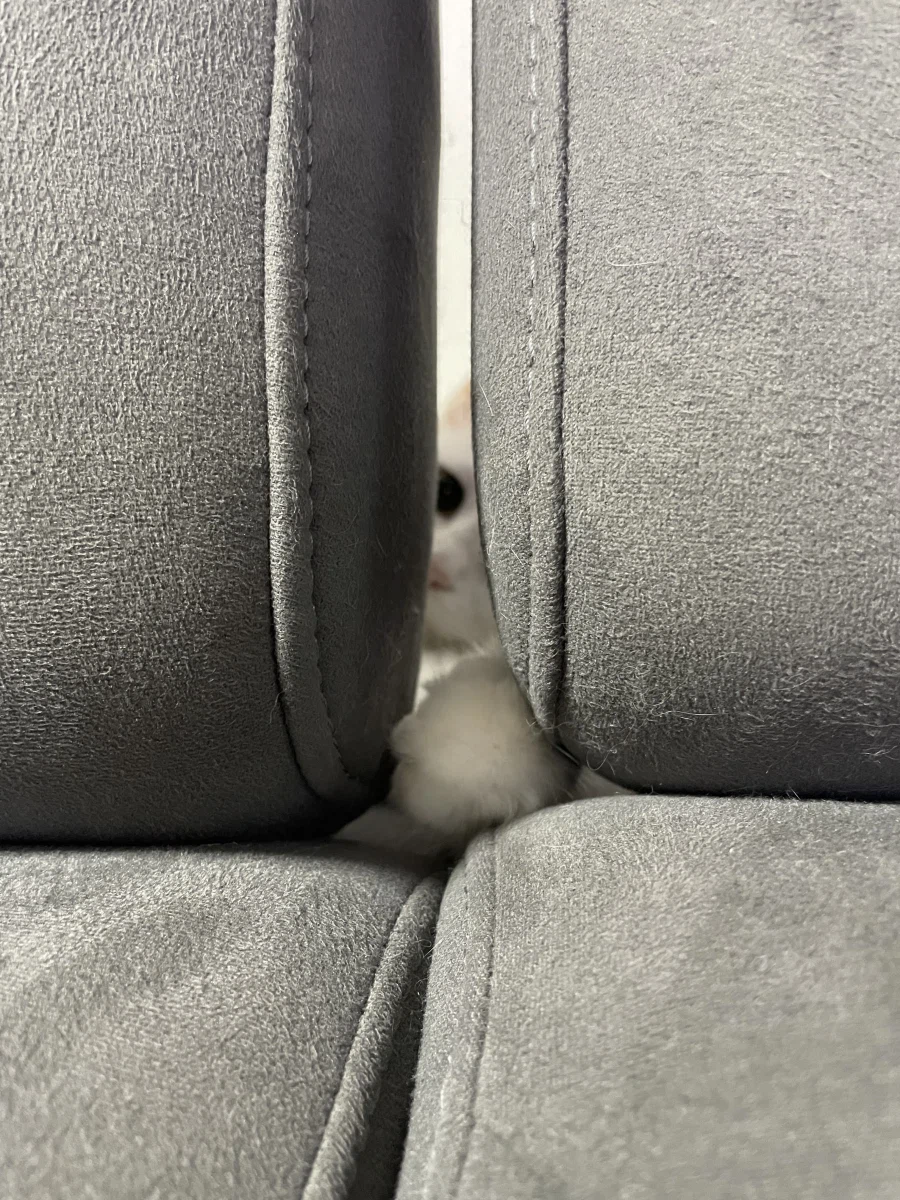 야심한 밤 좋은걸 보여주지_8.webp