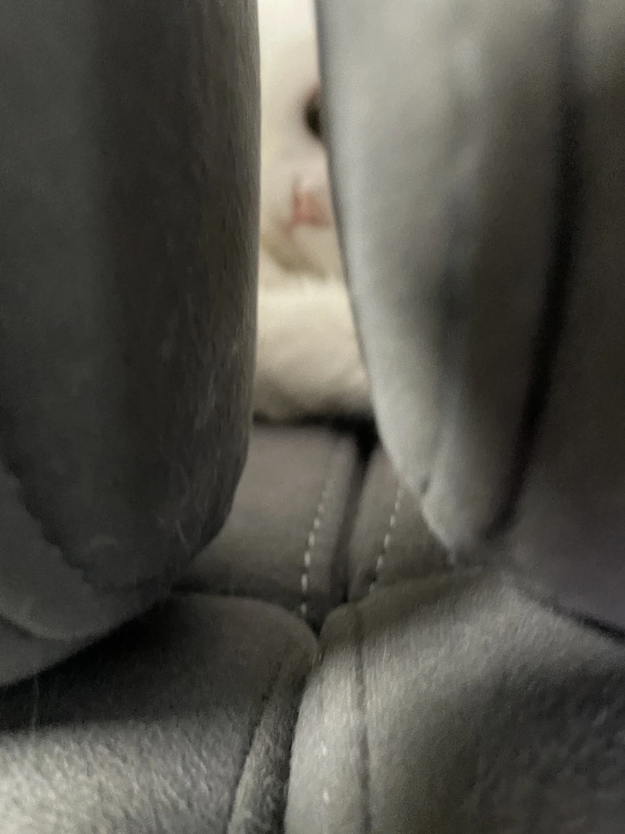 야심한 밤 좋은걸 보여주지_9.webp