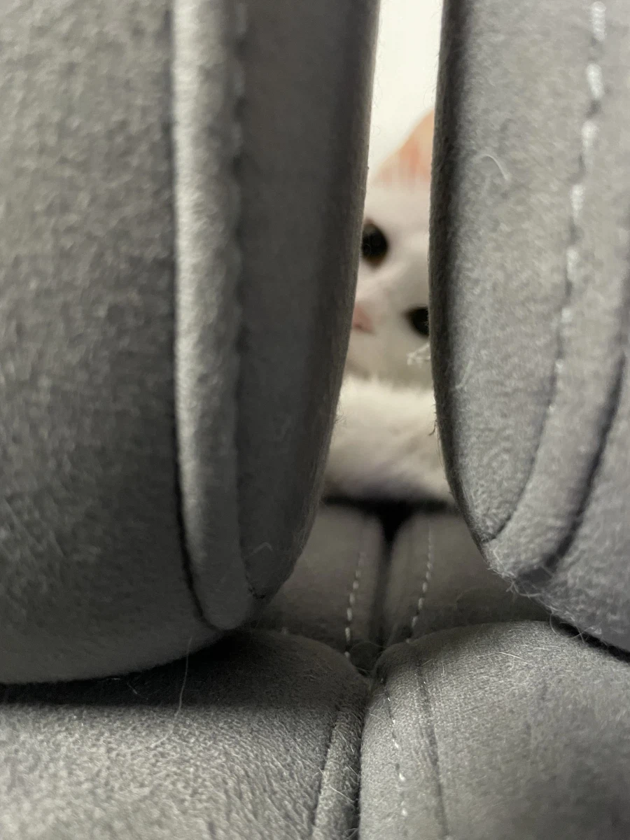 야심한 밤 좋은걸 보여주지_10.webp