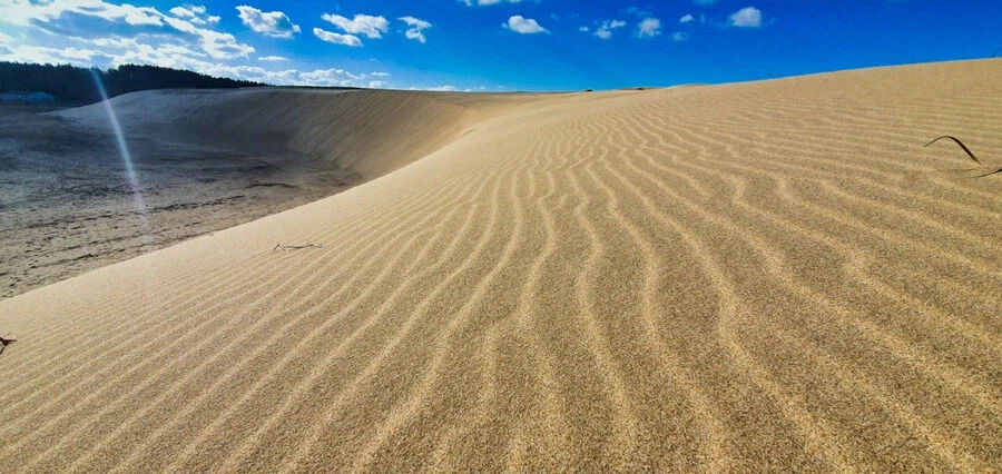 의외로 한국에도 존재하는 사?막_1.webp