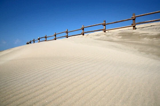 의외로 한국에도 존재하는 사?막_2.webp