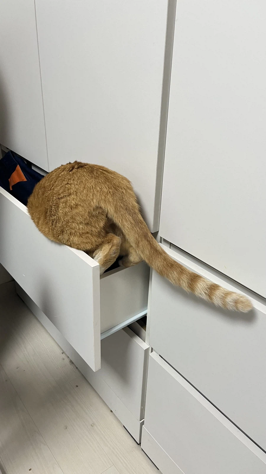 니들은 서랍 열어두지 마라_1.webp