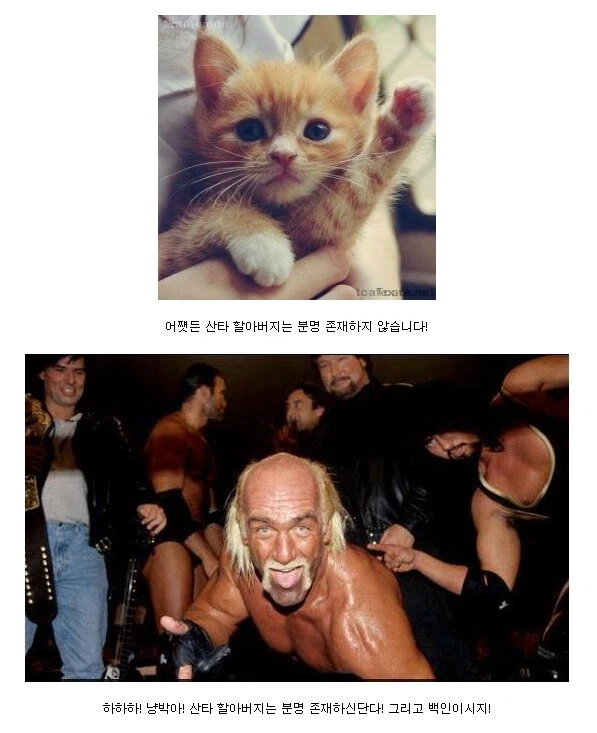 개쩌는 필력 빌런 때문에 이미지 망친 전설의 레슬러_2.webp