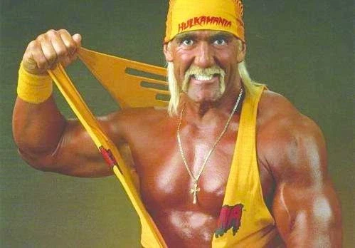 개쩌는 필력 빌런 때문에 이미지 망친 전설의 레슬러_3.webp