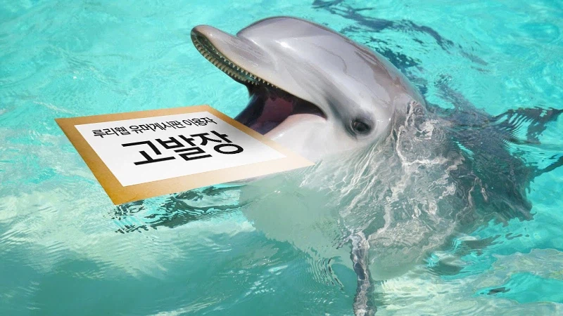 이미지 조진 피해자 모습_1.webp