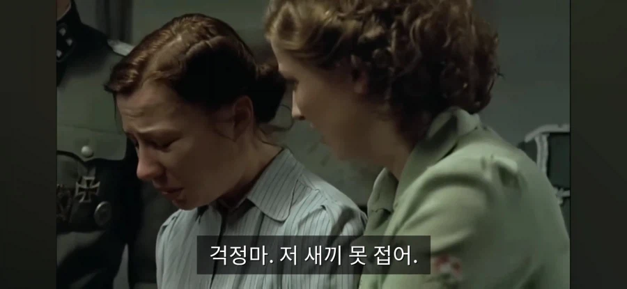 트릭컬)2차 쌍다인 강도단 유저반응_6.webp