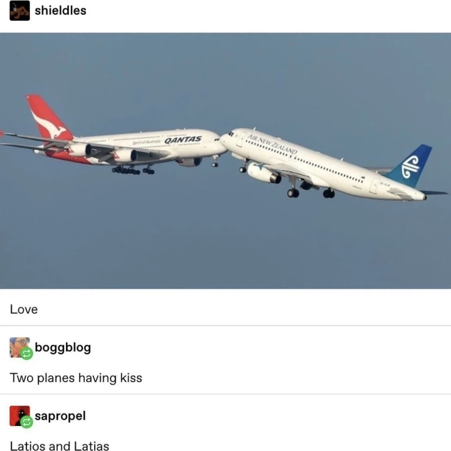 비행기 뽀뽀_1.webp