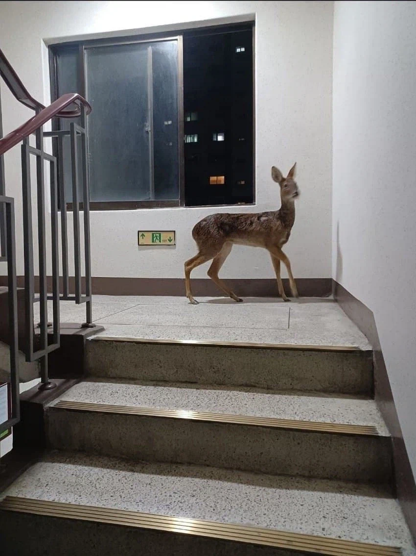 계단 탈때 조심해야하는것_1.webp