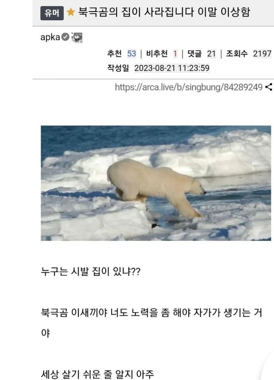 북극곰의 집이 사라진다고?_1.webp