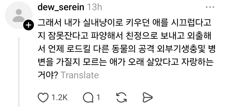 고양이 때문에 불면증 생겼다는 아줌마_2.webp